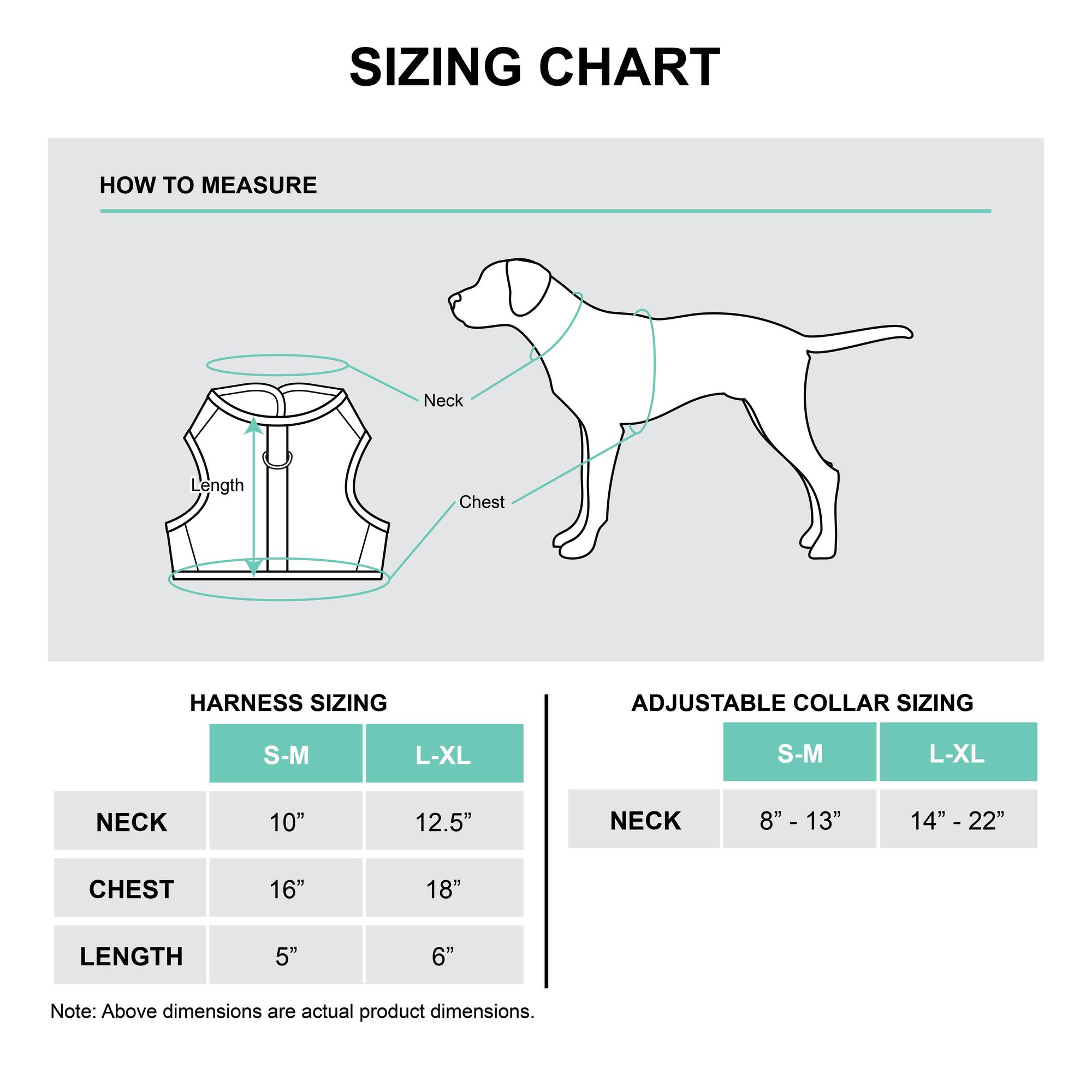 Best Furry Friends Hotdog Harness